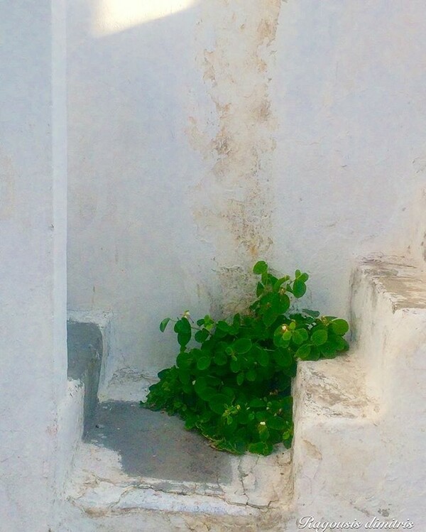 40 νέες φωτογραφίες των αναγνωστών μας, στο σημερινό INSTALIFO