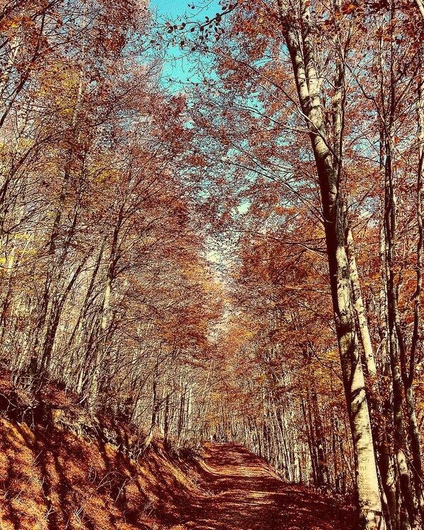 40 νέες φωτογραφίες των αναγνωστών μας, στο σημερινό INSTALIFO