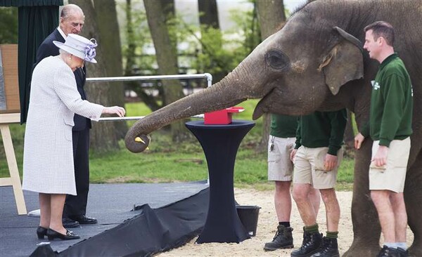 Η βασίλισσα Ελισάβετ και ο πρίγκιπας Φίλιππος ταΐζουν με μπανάνες έναν ελέφαντα σε ζωολογικό κήπο έξω από το Λονδίνο
