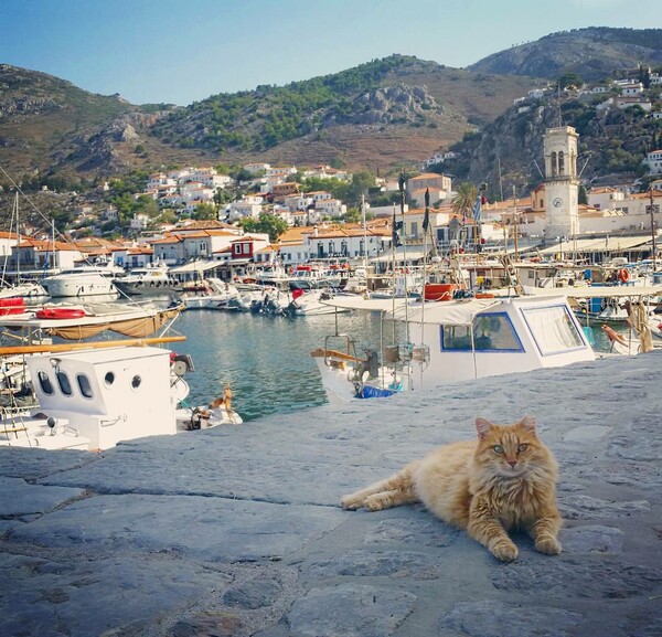 30 νέες φωτογραφίες απ' τα τέλεια ζώα των αναγνωστών μας