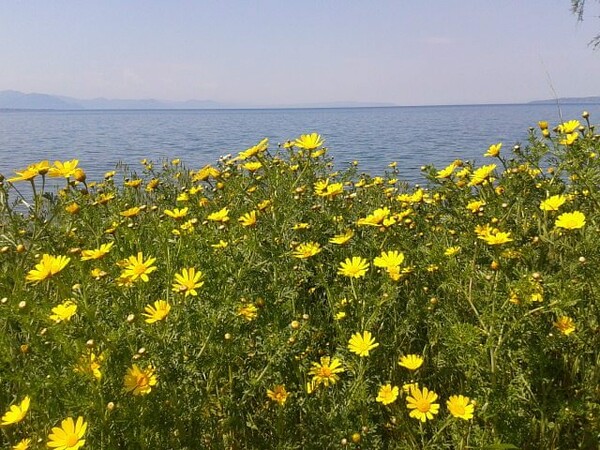 30 νέες φωτογραφίες των αναγνωστών μας, στο σημερινό INSTALIFO