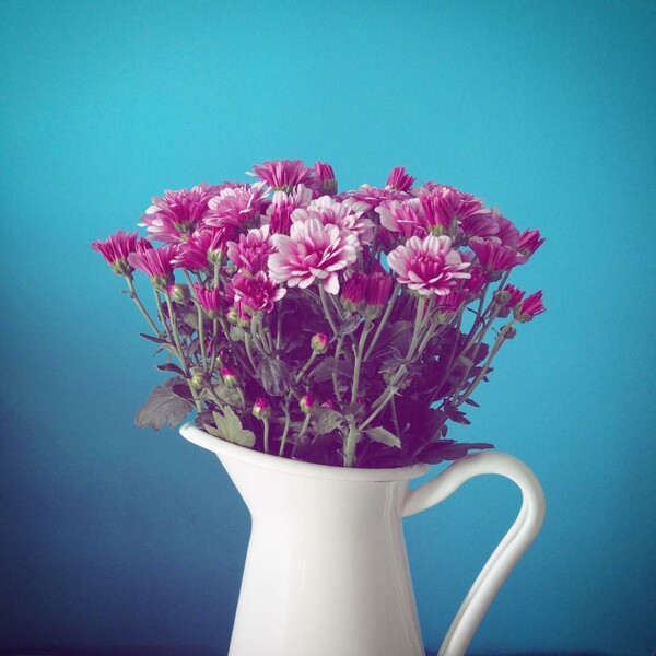 30 νέες φωτογραφίες των αναγνωστών μας, στο σημερινό INSTALIFO