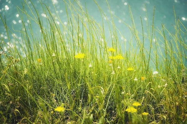40 νέες φωτογραφίες των αναγνωστών μας, στο σημερινό INSTALIFO