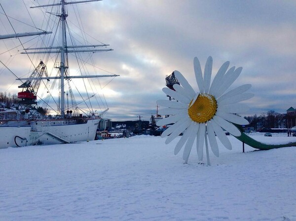 30 νέες φωτογραφίες των αναγνωστών μας, στο σημερινό INSTALIFO