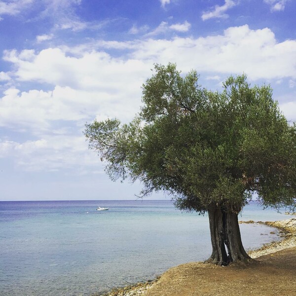 40 νέες φωτογραφίες των αναγνωστών μας, στο σημερινό INSTALIFO