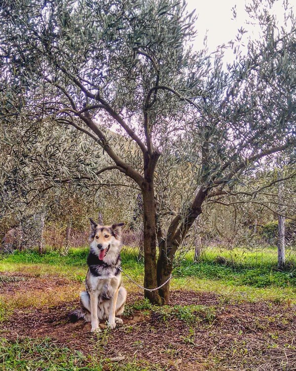 30 νέες φωτογραφίες απ' τα τέλεια ζώα των αναγνωστών μας