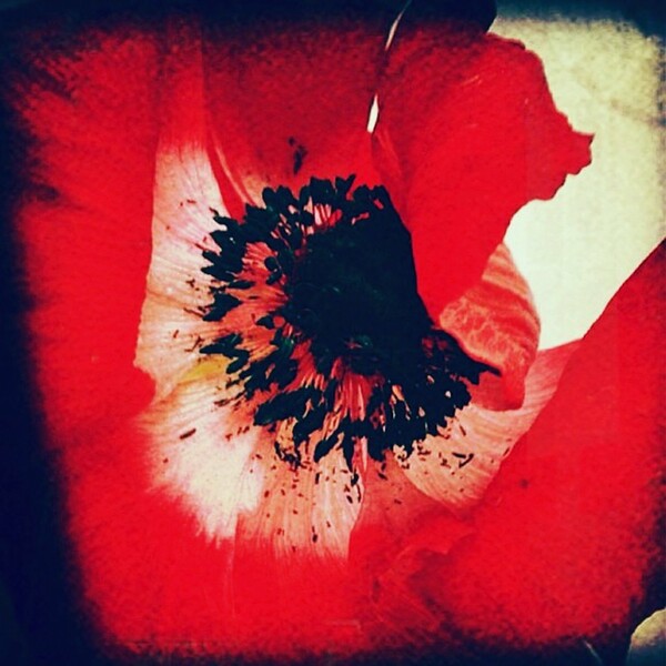 China Red