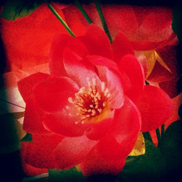 China Red