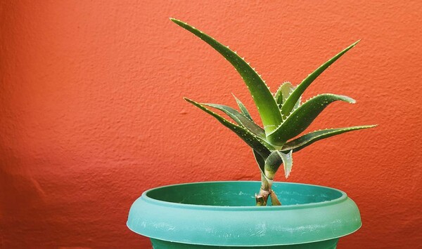 40 νέες φωτογραφίες των αναγνωστών μας, στο σημερινό INSTALIFO