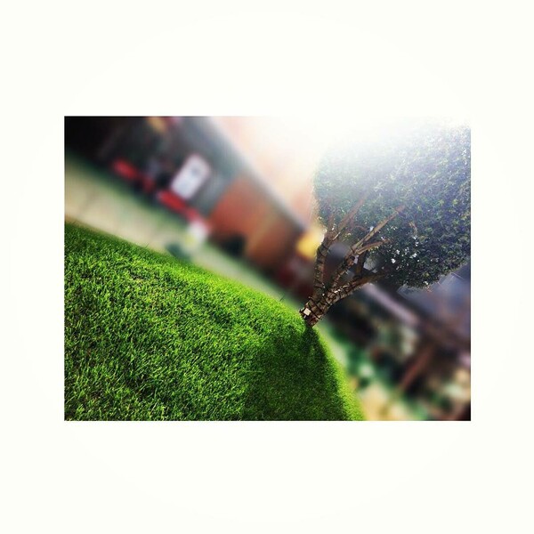 40 νέες φωτογραφίες των αναγνωστών μας, στο σημερινό INSTALIFO