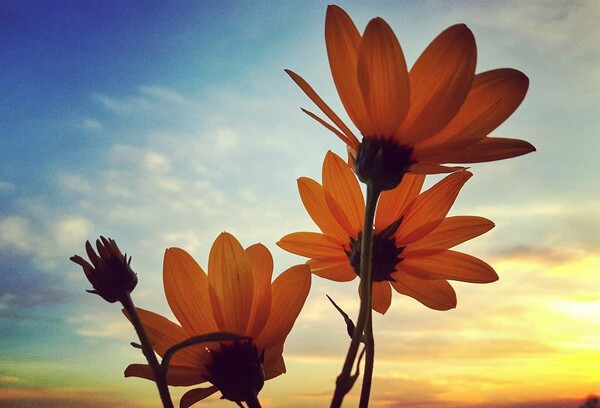 30 νέες φωτογραφίες των αναγνωστών μας, στο σημερινό INSTALIFO