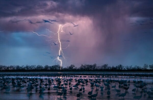 Αυτές είναι οι 50 καλύτερες φωτογραφίες του National Geographic για το 2016