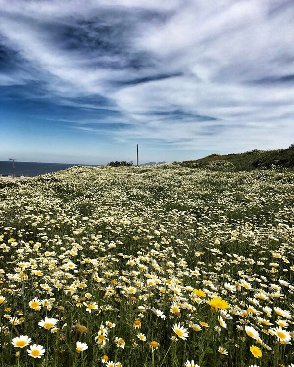 30 νέες φωτογραφίες των αναγνωστών μας, στο σημερινό INSTALIFO