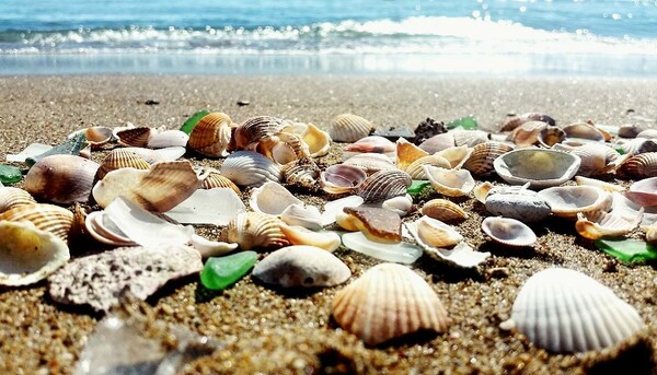 40 νέες φωτογραφίες των αναγνωστών μας, στο σημερινό INSTALIFO