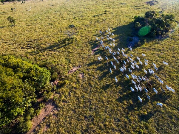 Οι καλύτερες φωτογραφίες του 2016 από drone