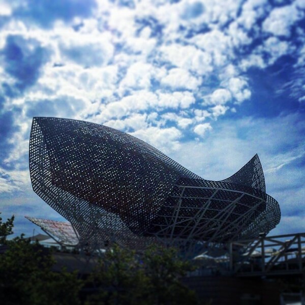 30 νέες φωτογραφίες των αναγνωστών μας, στο σημερινό INSTALIFO