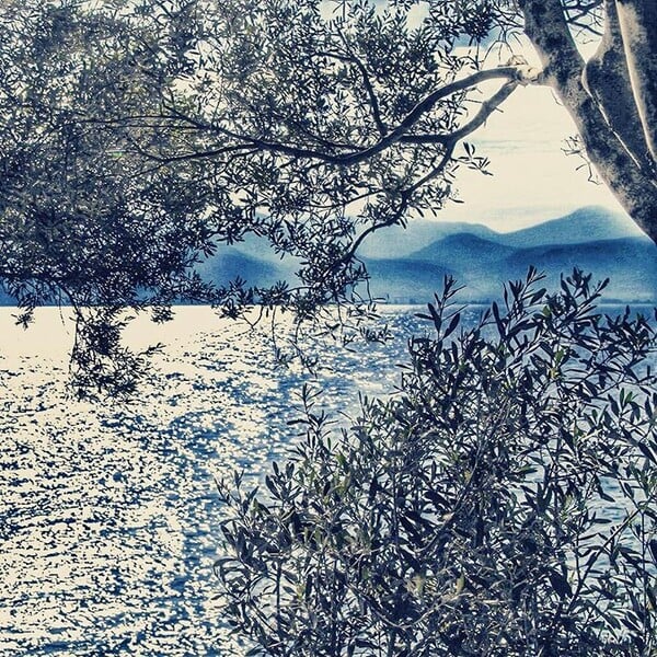 40 νέες φωτογραφίες των αναγνωστών μας, στο σημερινό INSTALIFO