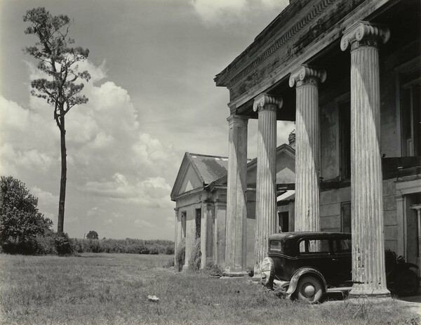 Όταν ο Edward Weston φωτογράφιζε για τα «Φύλλα Χλόης» του Whitman