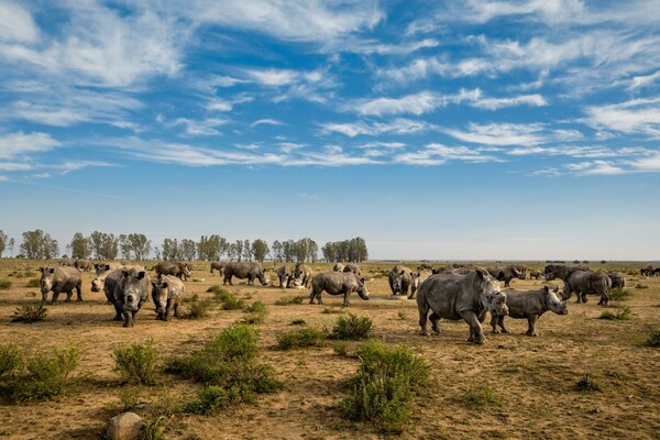 Αυτές είναι οι 50 καλύτερες φωτογραφίες του National Geographic για το 2016