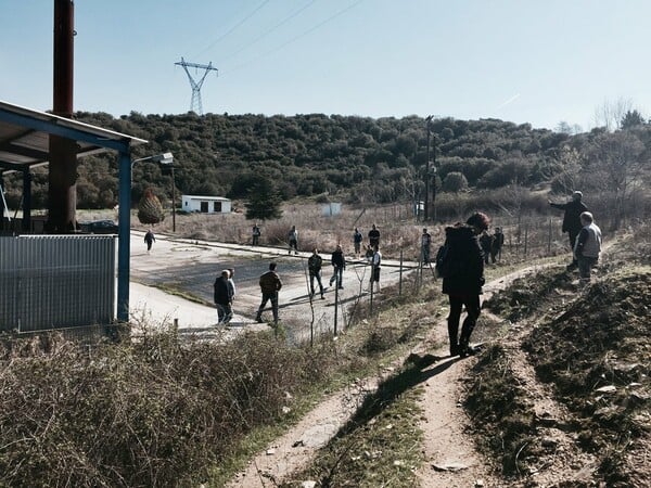 Τι πήγε στραβά με τη λατρευτική σφαγή ζώων με τη μέθοδο Κόσερ που θα εφαρμοζόταν για πρώτη φορά στην Ελλάδα;