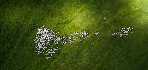 Οι καλύτερες φωτογραφίες του 2016 από drone