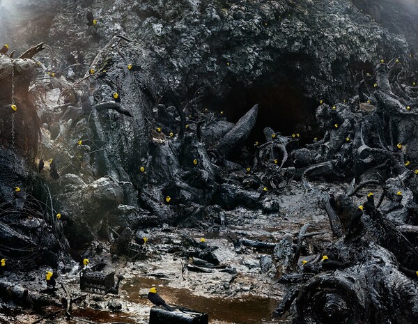 Το πλούσιο και παράξενο σύμπαν του Simen Johan