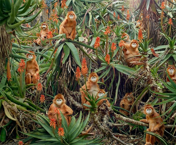 Το πλούσιο και παράξενο σύμπαν του Simen Johan