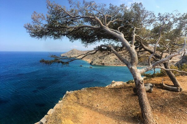 40 νέες φωτογραφίες των αναγνωστών μας, στο σημερινό INSTALIFO