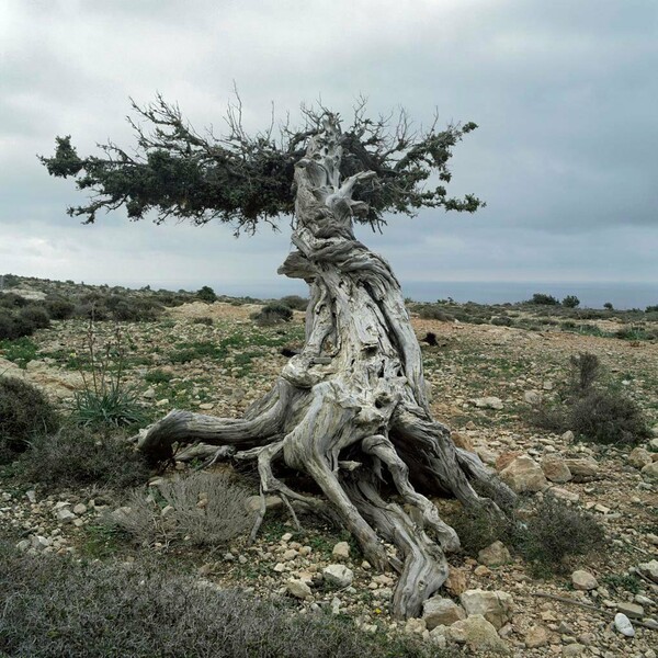 Land Ends. Παύλος Φυσάκης.