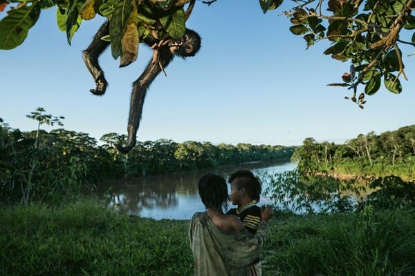 Αυτές είναι οι 50 καλύτερες φωτογραφίες του National Geographic για το 2016