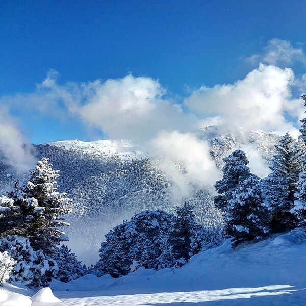 30 νέες φωτογραφίες των αναγνωστών μας, στο σημερινό INSTALIFO