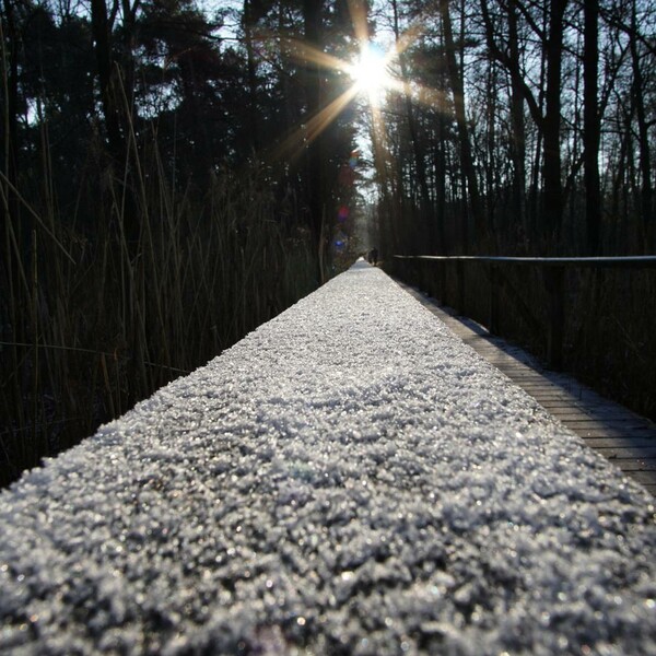 30 νέες φωτογραφίες των αναγνωστών μας, στο σημερινό INSTALIFO
