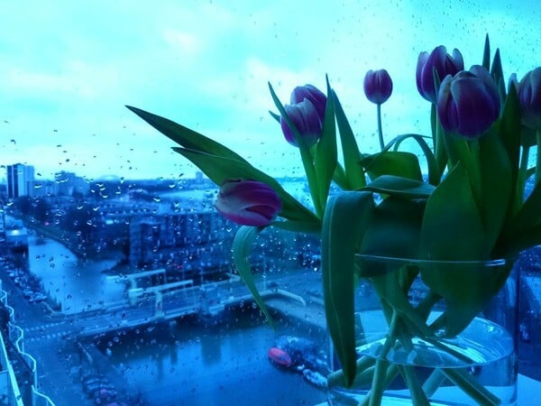 30 νέες φωτογραφίες των αναγνωστών μας, στο σημερινό INSTALIFO