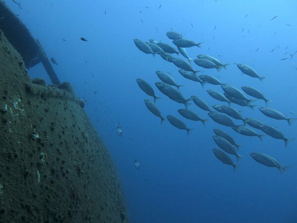 30 νέες φωτογραφίες των αναγνωστών μας, στο σημερινό INSTALIFO