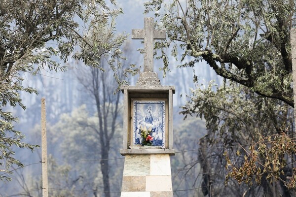 Ειδική ομάδα βοήθειας στην Πορτογαλία στέλνει η Ελλάδα - Φωτογραφίες ολικής καταστροφής από την περιοχή της πυρκαγιάς