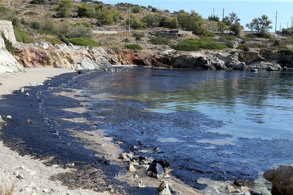 «Μαύρισαν» οι παραλίες στη Σαλαμίνα - Η οικολογική καταστροφή στο Σαρωνικό μέσα από συγκλονιστικές εικόνες και βίντεο