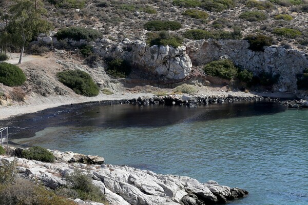 «Μαύρισαν» οι παραλίες στη Σαλαμίνα - Η οικολογική καταστροφή στο Σαρωνικό μέσα από συγκλονιστικές εικόνες και βίντεο