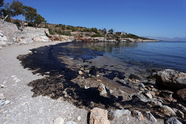 «Μαύρισαν» οι παραλίες στη Σαλαμίνα - Η οικολογική καταστροφή στο Σαρωνικό μέσα από συγκλονιστικές εικόνες και βίντεο