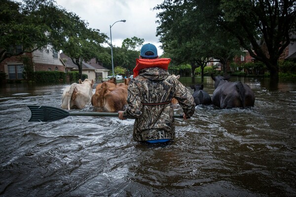 60 εικόνες από τον τυφώνα Harvey, που δείχνουν όλες τις πτυχές της καταστροφής