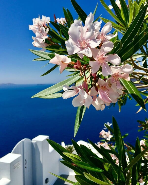 40 νέες φωτογραφίες των αναγνωστών μας, στο σημερινό INSTALIFO