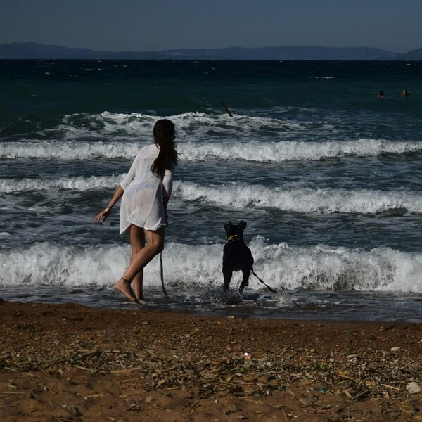 30 νέες φωτογραφίες απ' τα τέλεια ζώα των αναγνωστών μας
