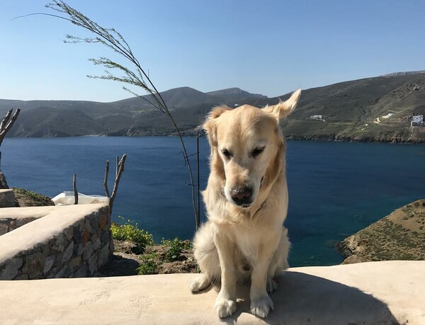 30 νέες φωτογραφίες απ' τα τέλεια ζώα των αναγνωστών μας