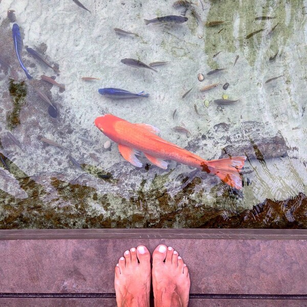 50 νέες φωτογραφίες των αναγνωστών μας, στο σημερινό INSTALIFO