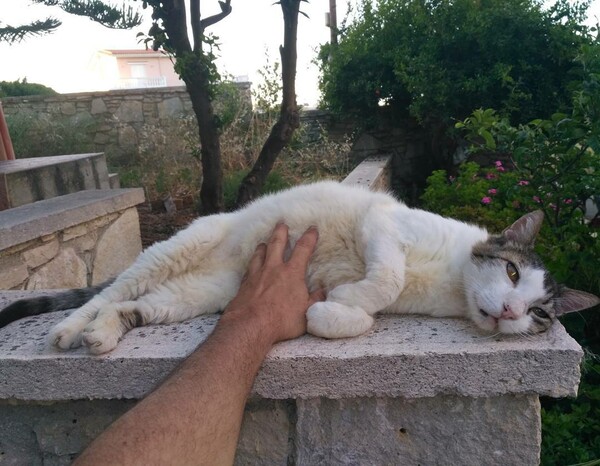 30 νέες φωτογραφίες απ' τα τέλεια ζώα των αναγνωστών μας