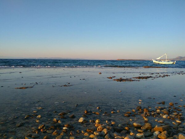 50 νέες φωτογραφίες των αναγνωστών μας, στο σημερινό INSTALIFO