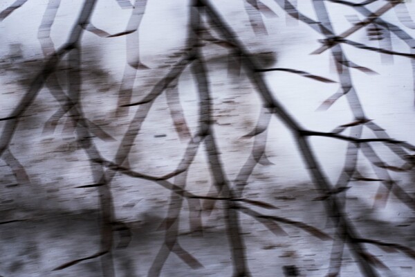 H φύση κινείται: 14 φωτογραφίες του Γιώργου Καραμποτάκη που μοιάζουν βγαλμένες από όνειρο