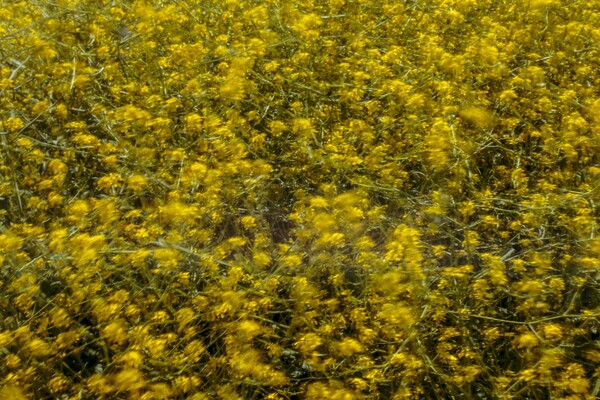 H φύση κινείται: 14 φωτογραφίες του Γιώργου Καραμποτάκη που μοιάζουν βγαλμένες από όνειρο