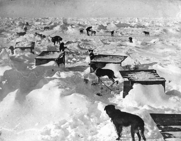 50 συγκλονιστικές φωτογραφίες από την παγίδευση της "Καρτερίας" του Σάκλετον στην Ανταρκτική το 1914