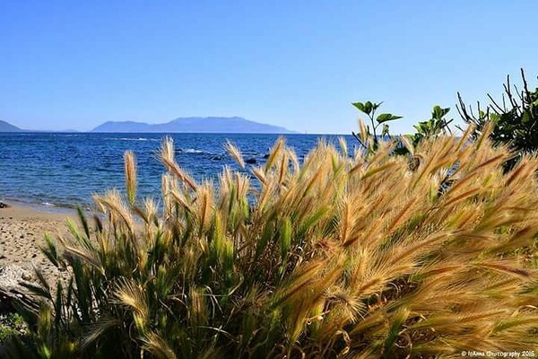 30 νέες φωτογραφίες των αναγνωστών μας, στο σημερινό INSTALIFO