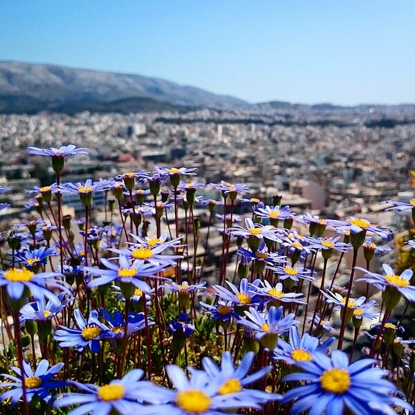 40 νέες φωτογραφίες των αναγνωστών μας, στο σημερινό INSTALIFO